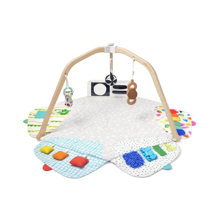 The Play Gym by Lovevery